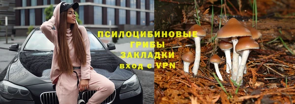 круглые Нефтекумск